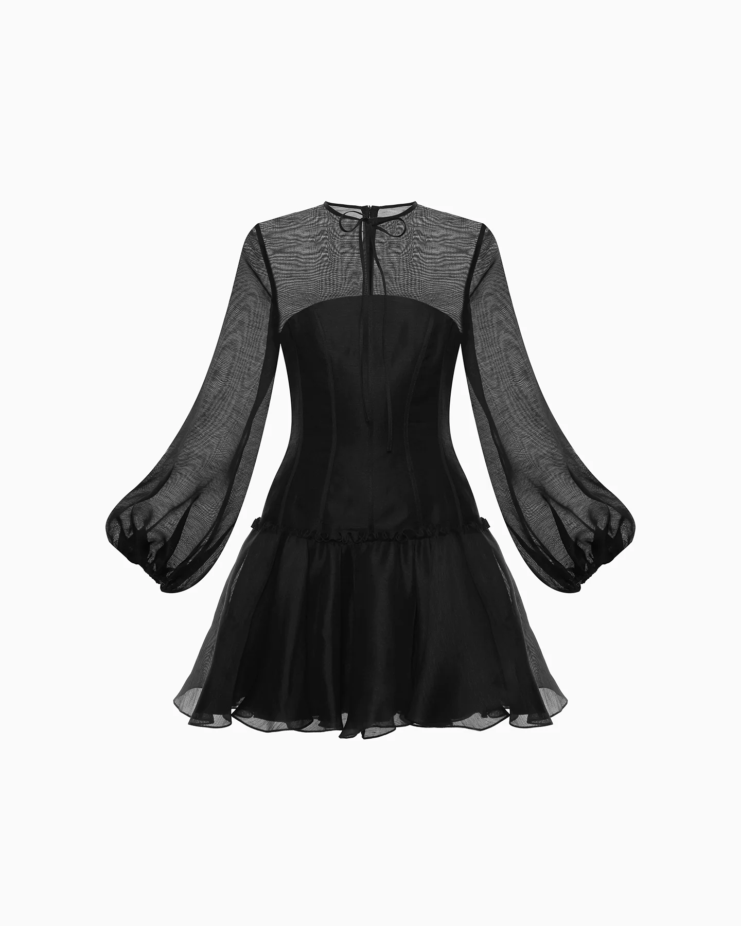 Gladiolus - Image 7