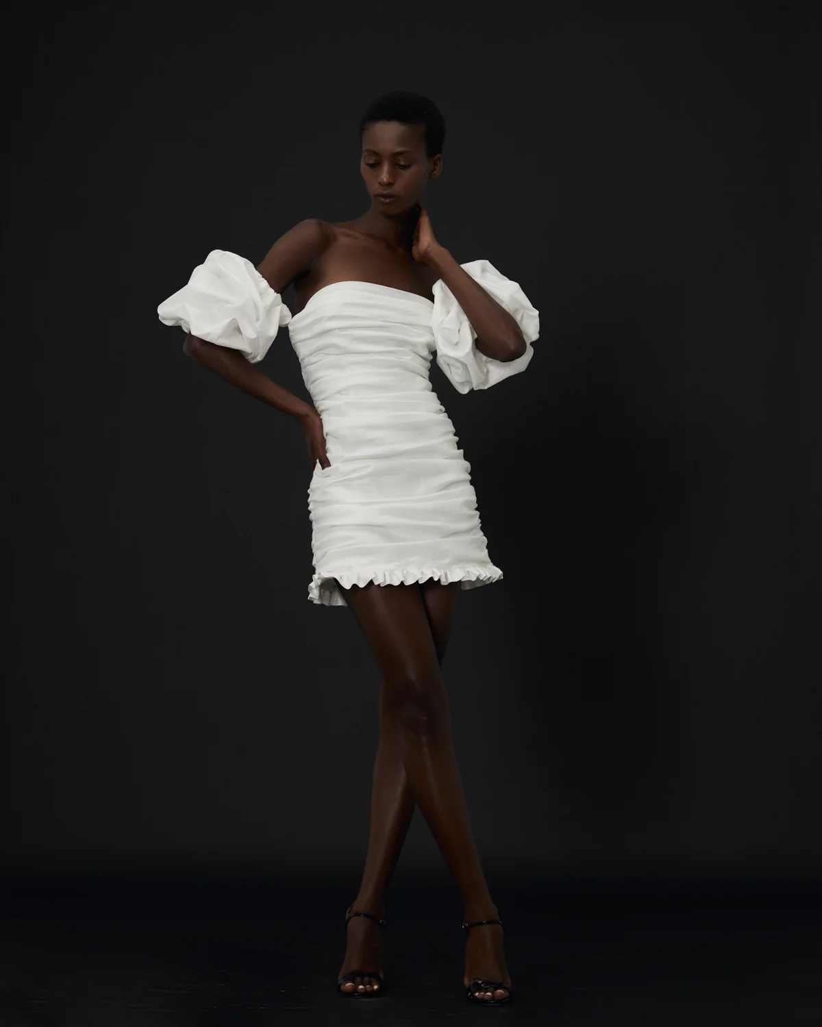 L'aster - Image 4