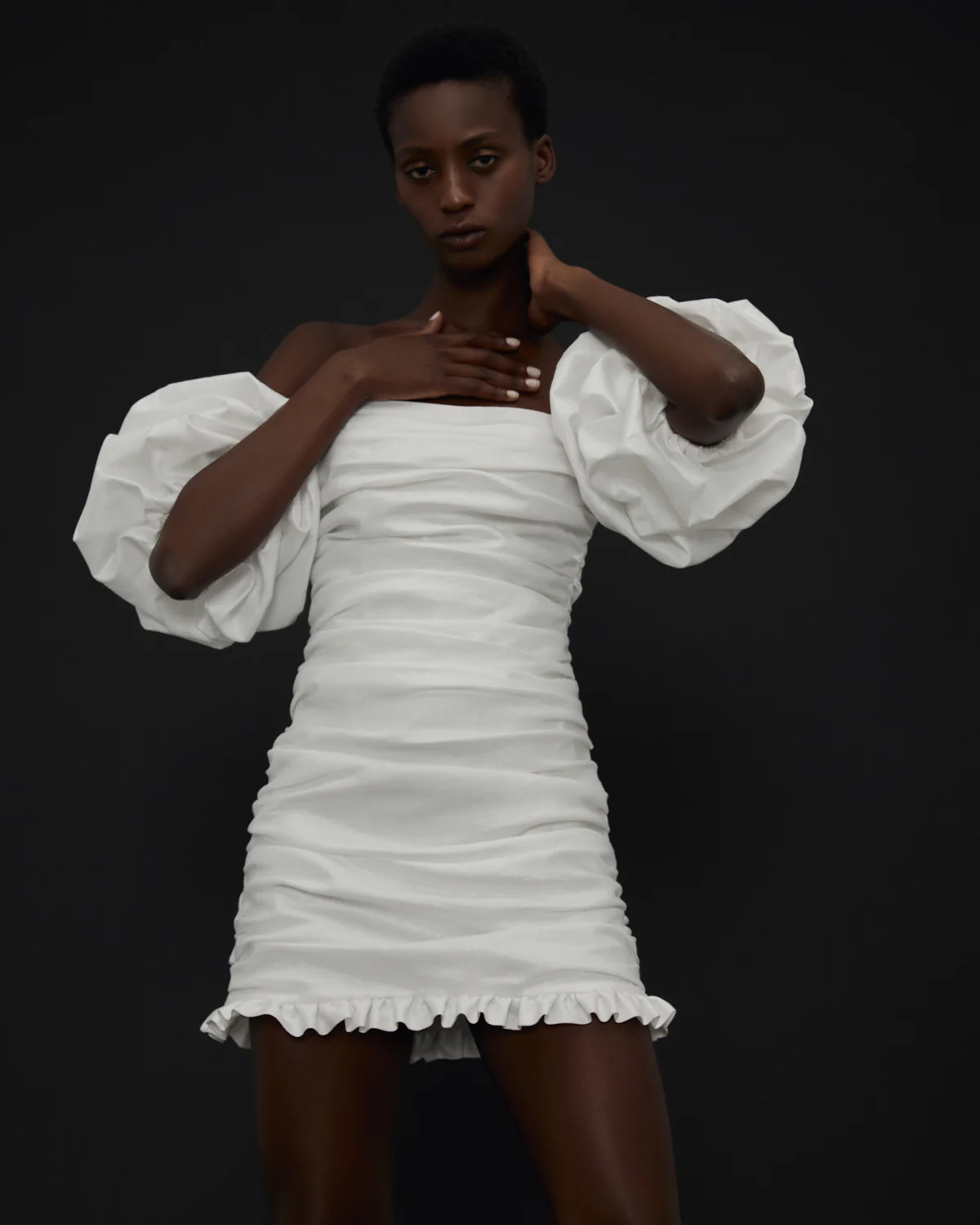 L'aster - Image 5