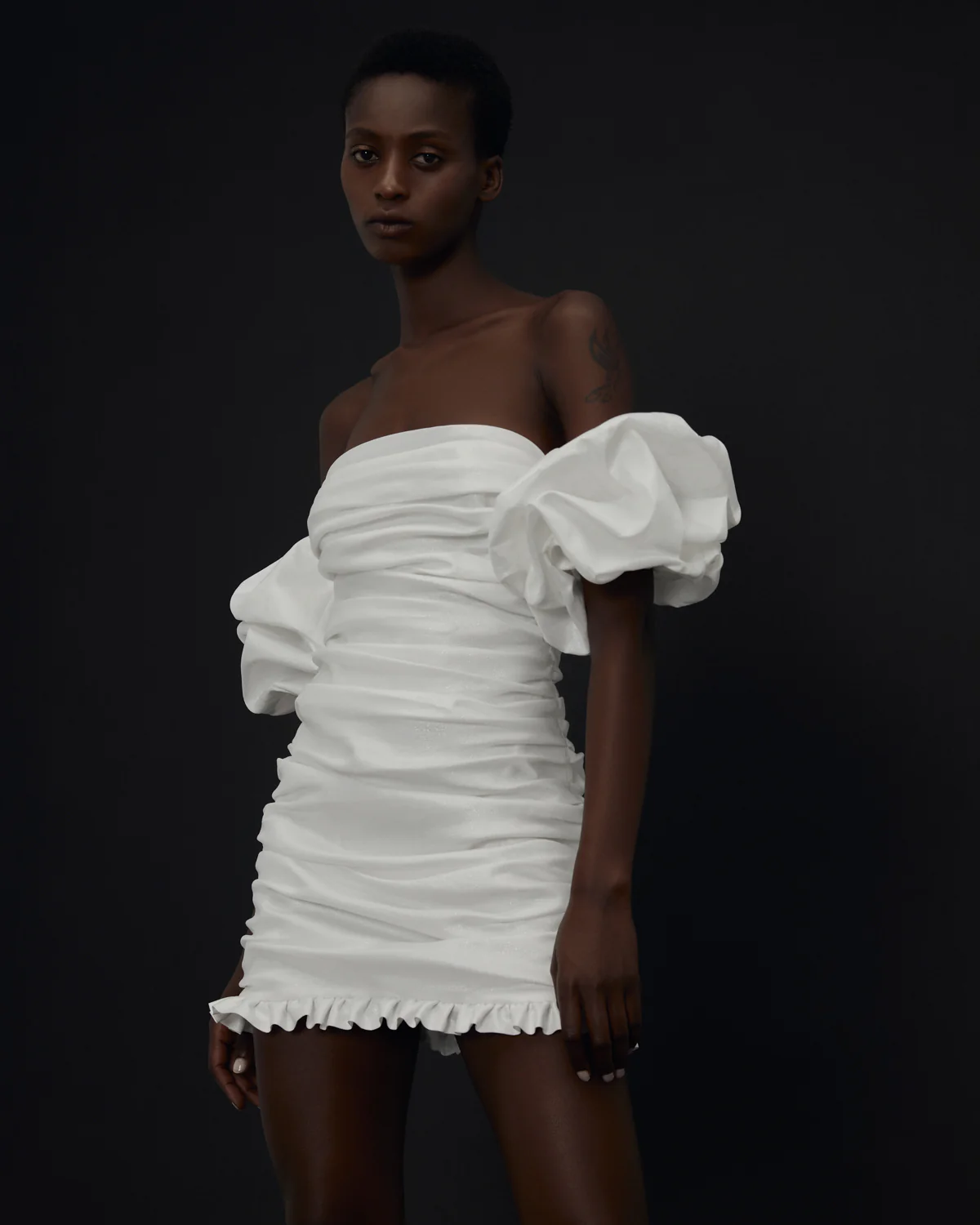 L'aster - Image 6