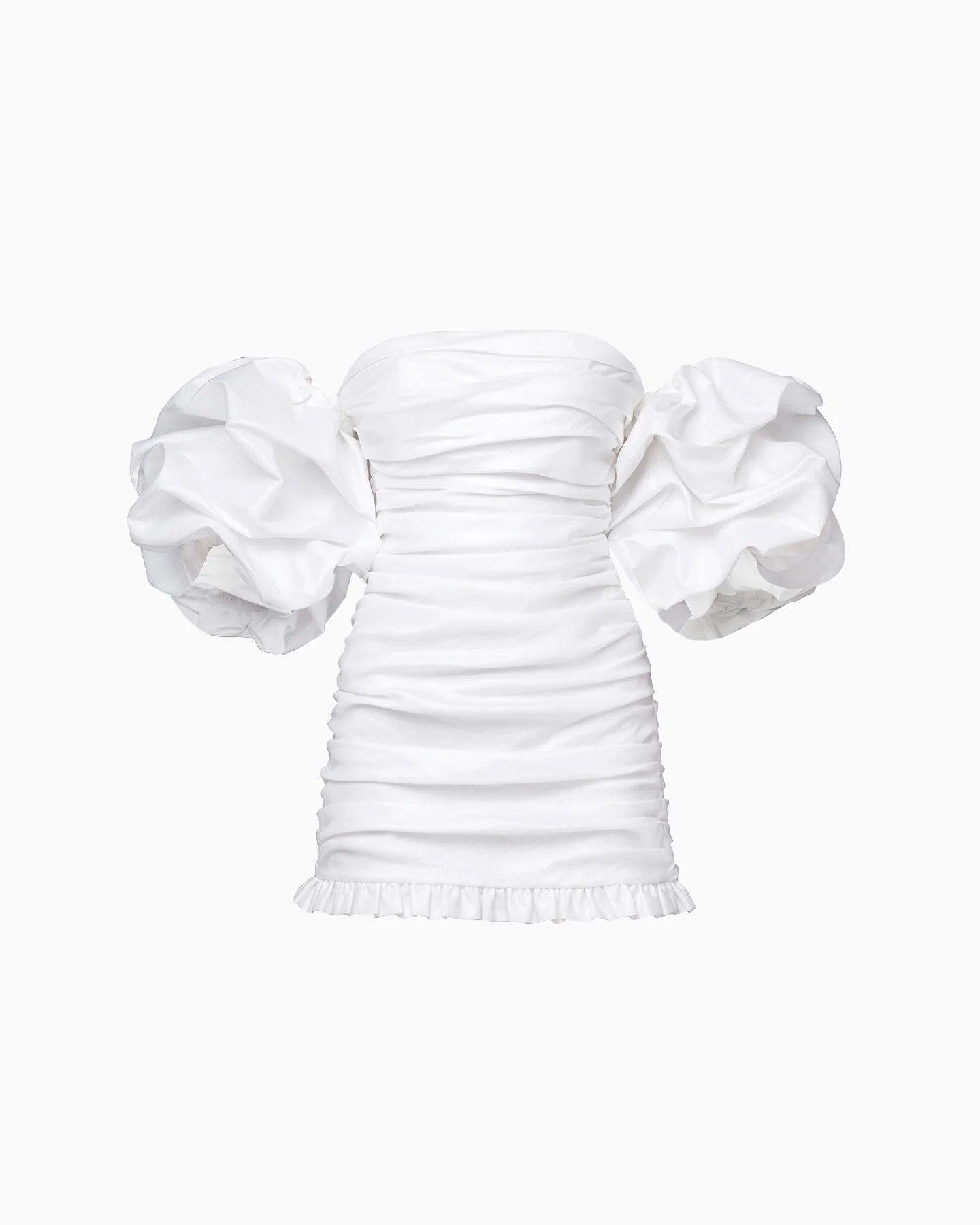 L'aster - Image 7