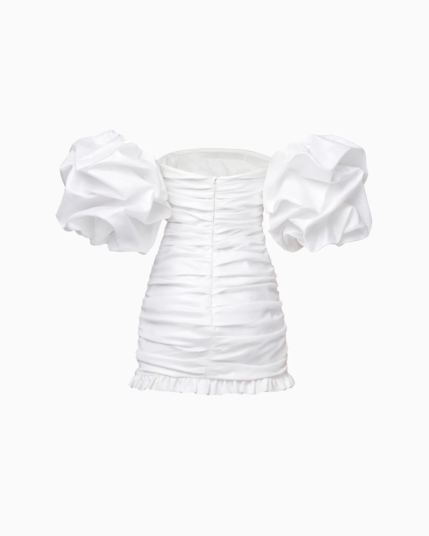 L'aster - Image 8
