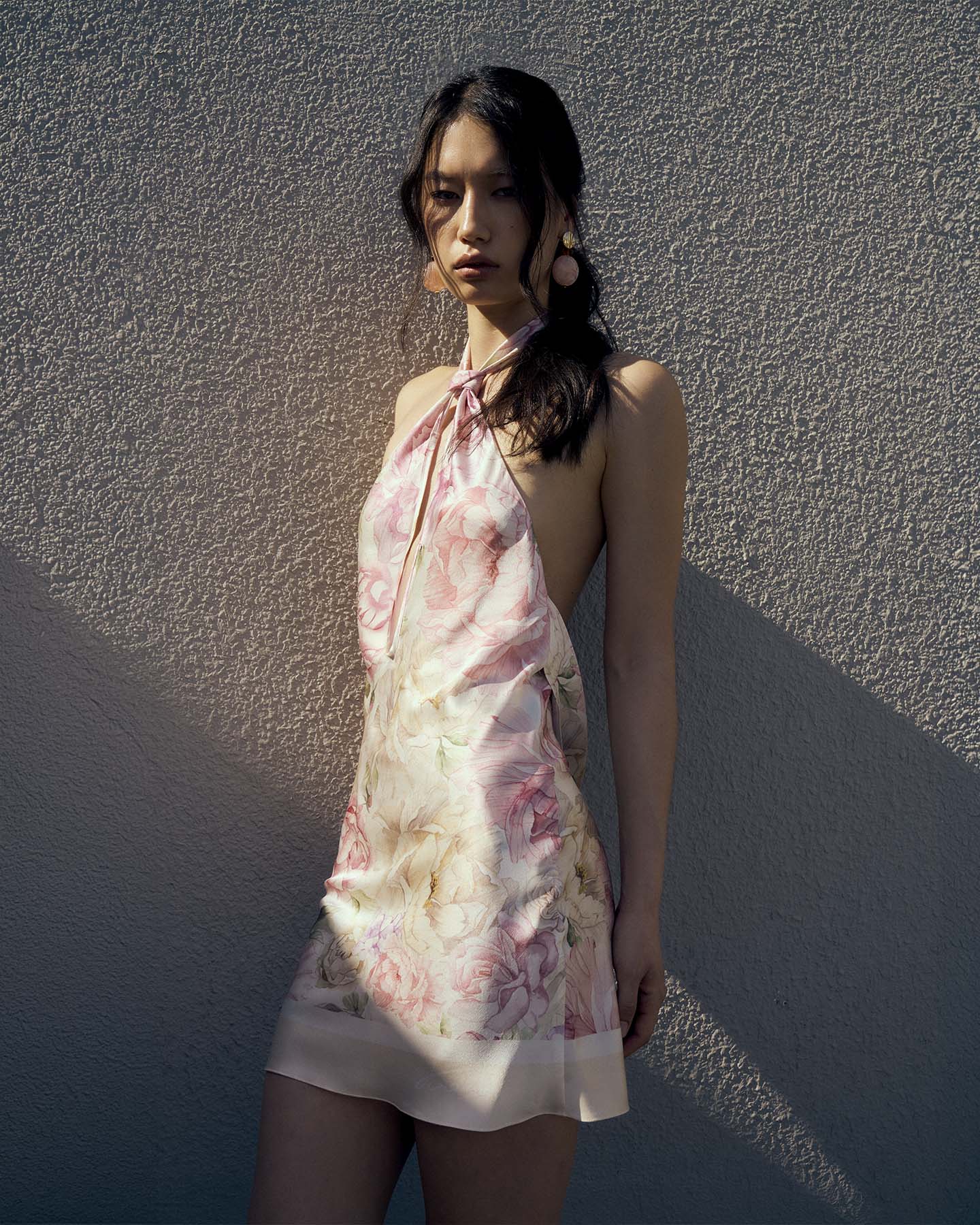 Pallida - Image 5